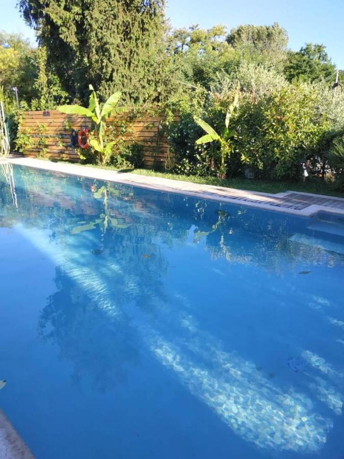 Villa Paradiso Del Garda Vista-Verde Bardolino Zewnętrze zdjęcie